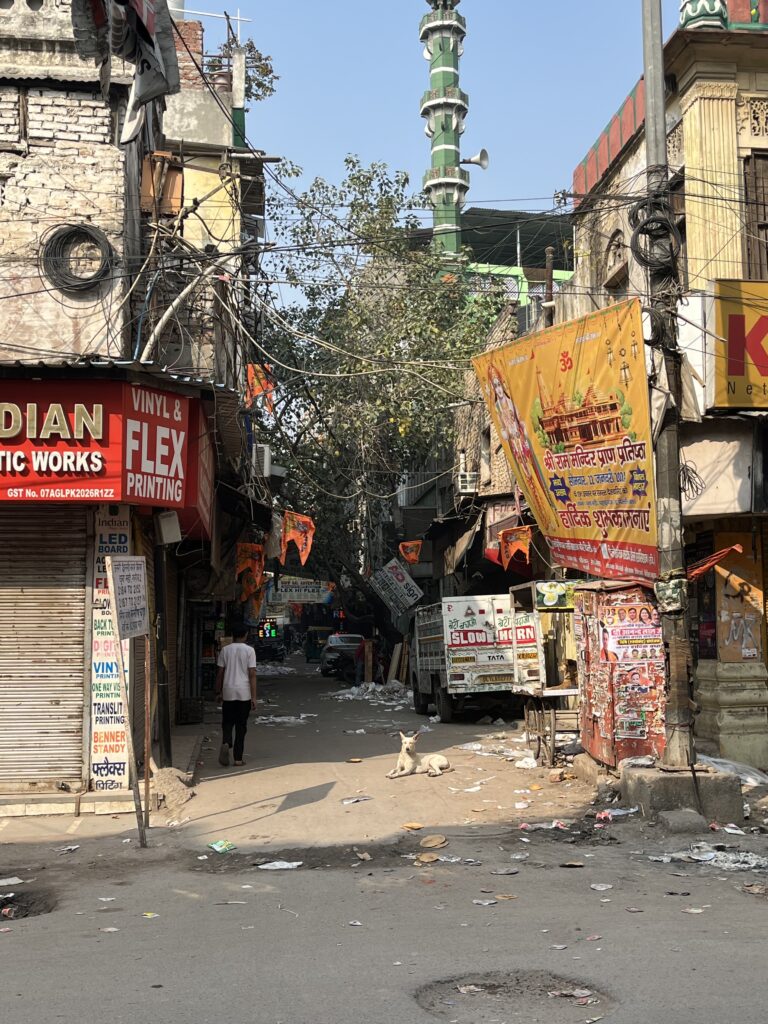 A busy narrow street in India with tangled overhead power lines, local shops with Hindi signs, and a white dog resting in the middle of the road.