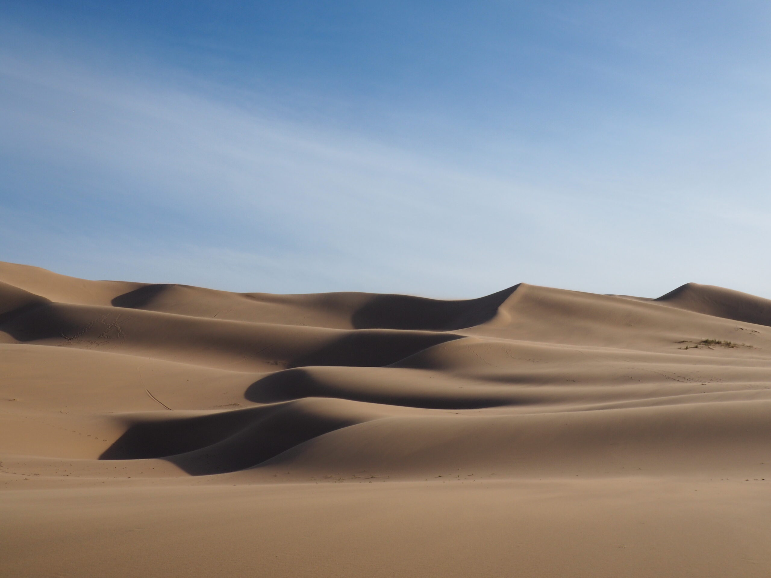Travel Gobi Mongolia