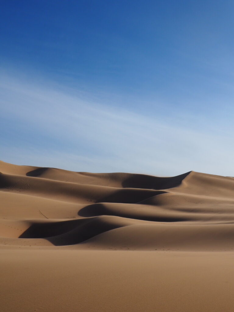 Massive, rippling sand dunes of the Gobi Desert in Mongolia stretching across the horizon under a clear, vibrant blue sky, showing wind patterns on the sand.